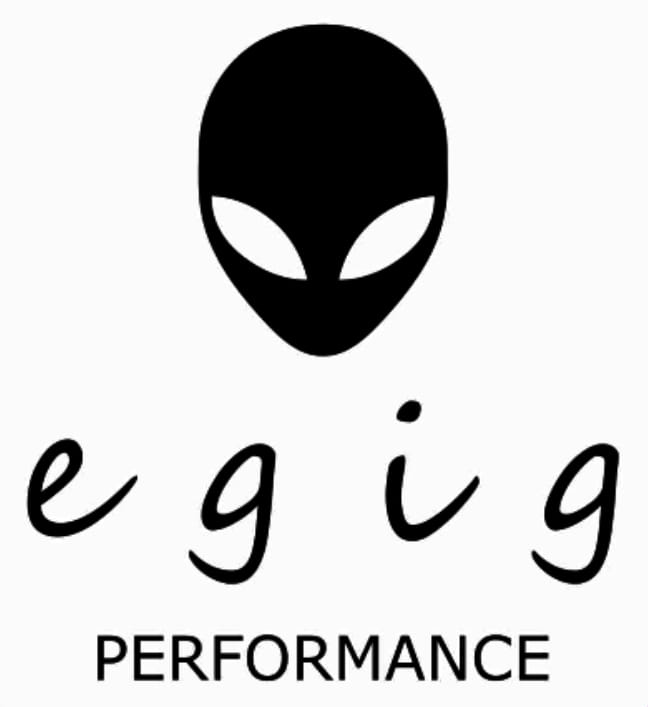 EGIG