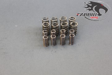 Kit molle frizione Fabbri racing FB36