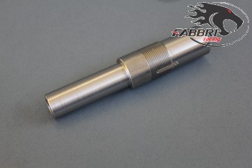 Inserto forcella disco