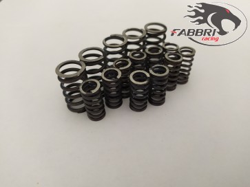 Kit molle frizione Fabbri racing FB24 EVO