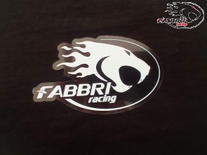 Adesivo FABBRI RACING 